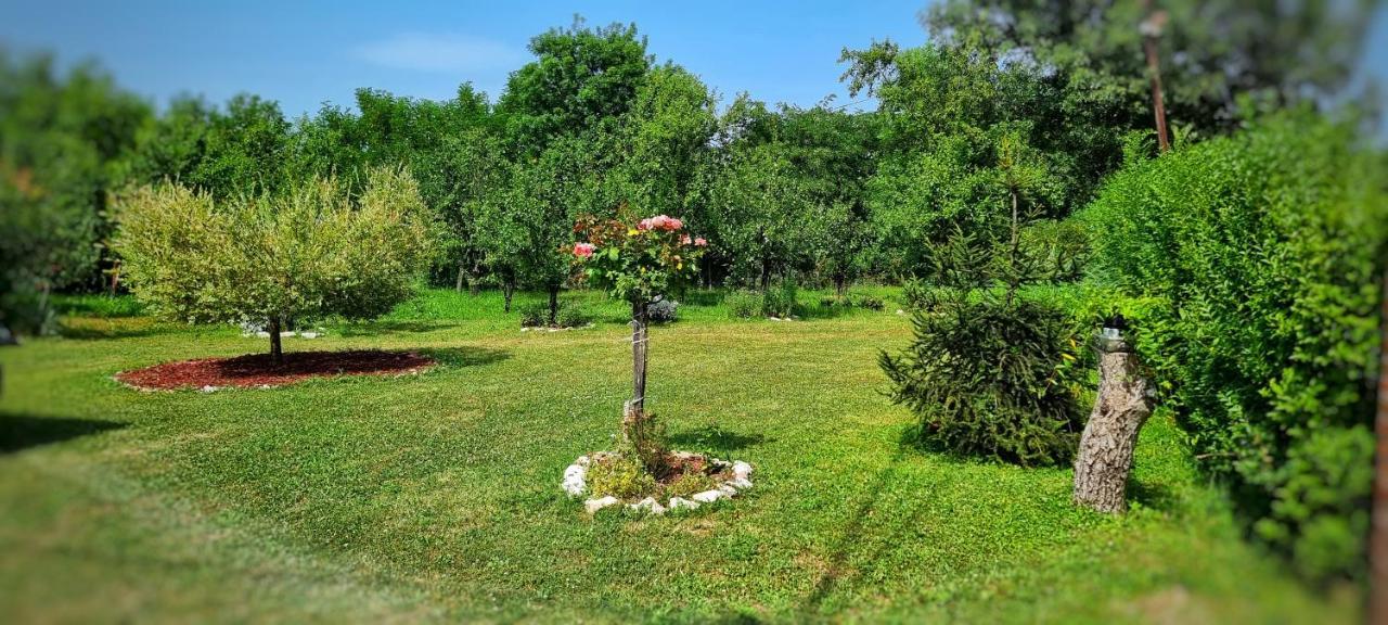 Gajica Konak-Orasac Arandjelovac Exteriör bild